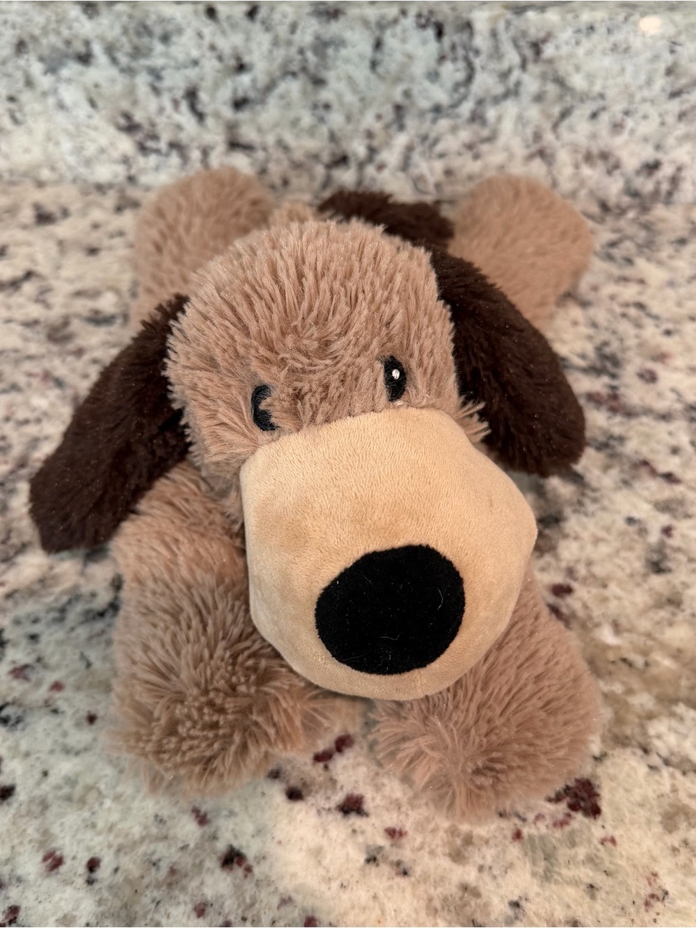 Brown Dog Warmies